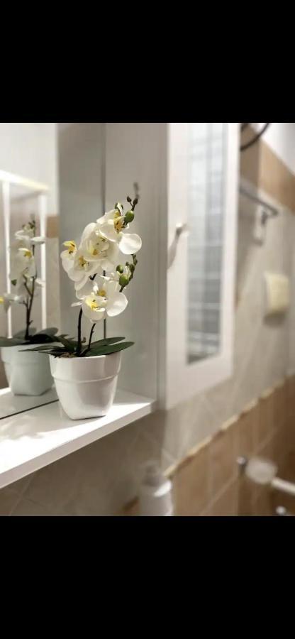 Cusumano House Apartment Trappeto  Bagian luar foto
